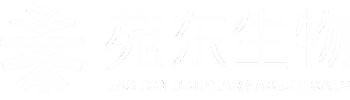 庄和闲