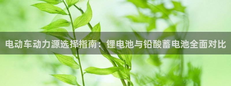 尊龙网址苹果版下载