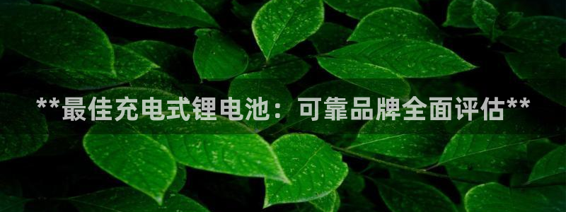 尊龙凯时网站登录