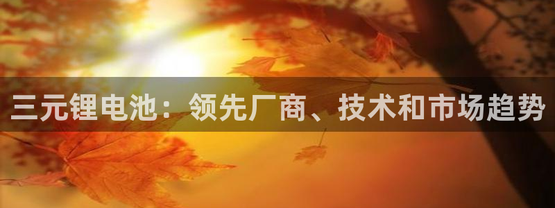 凯时k8娱乐唯一官网：三元锂电池：领先厂商、技术和市场趋势