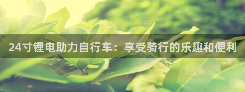 尊龙官网免费下载安装：24寸锂电助力自行车：享受骑行的乐趣和便利