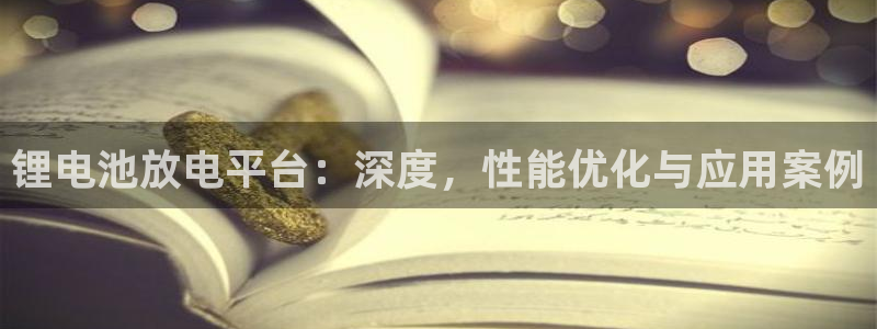 尊龙凯时app产品介绍：锂电池放电平台：深度，性能优化与应用案例