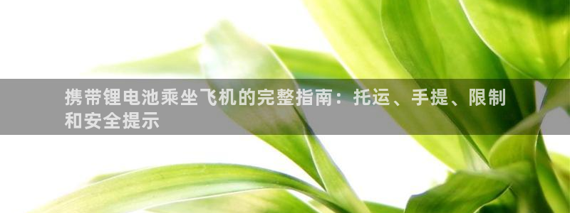 K66凯时国际平台官网：携带锂电池乘坐飞机的完整指南：托运、手提、限制
和安全提示