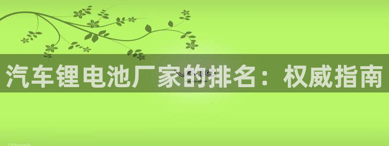 尊龙登录地址：汽车锂电池厂家的排名：权威指南