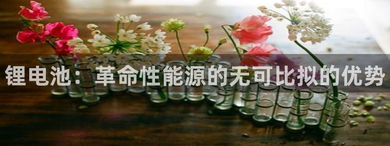 尊龙凯时 人生就是搏首页：锂电池：革命性能源的无可比拟的优势