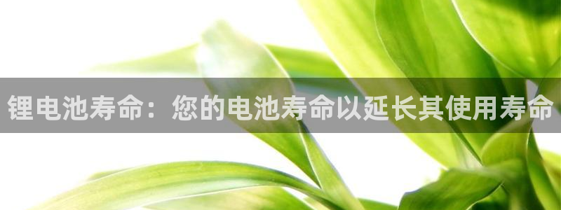 尊龙游戏官网游戏特色：锂电池寿命：您的电池寿命以延长其使用寿命